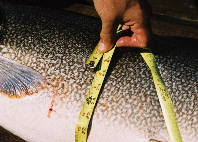 Big Fish-08